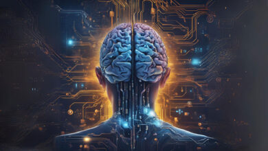 راز خلاقیت کشف شد: دانشمندان مدارهای عصبی مرتبط با خلاقیت را شناسایی کردند