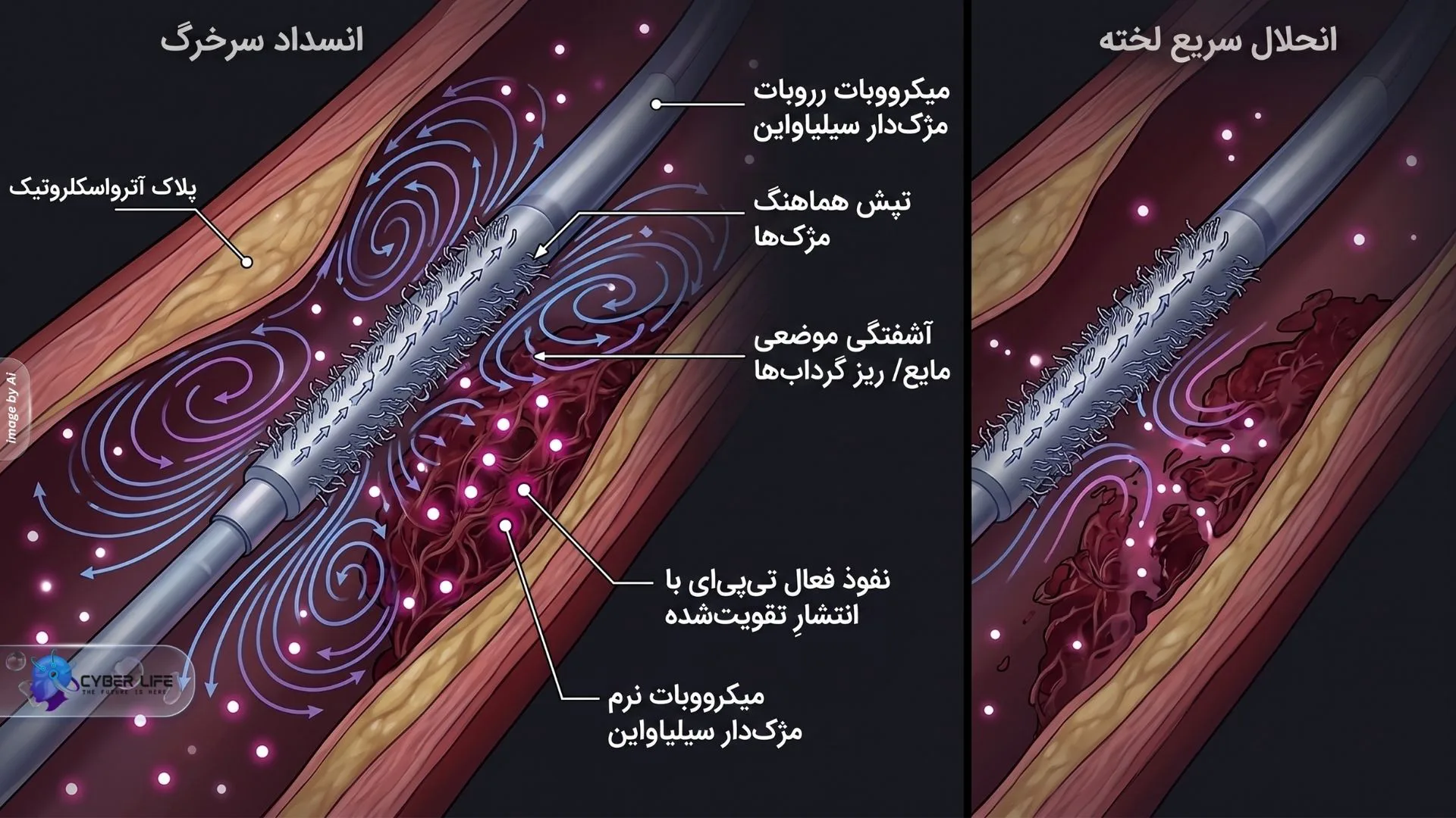 روند جداسازی و شکار سلول‌های توموری در گردش CTCs از نمونه خون بیماران مبتلا به سرطان کبد