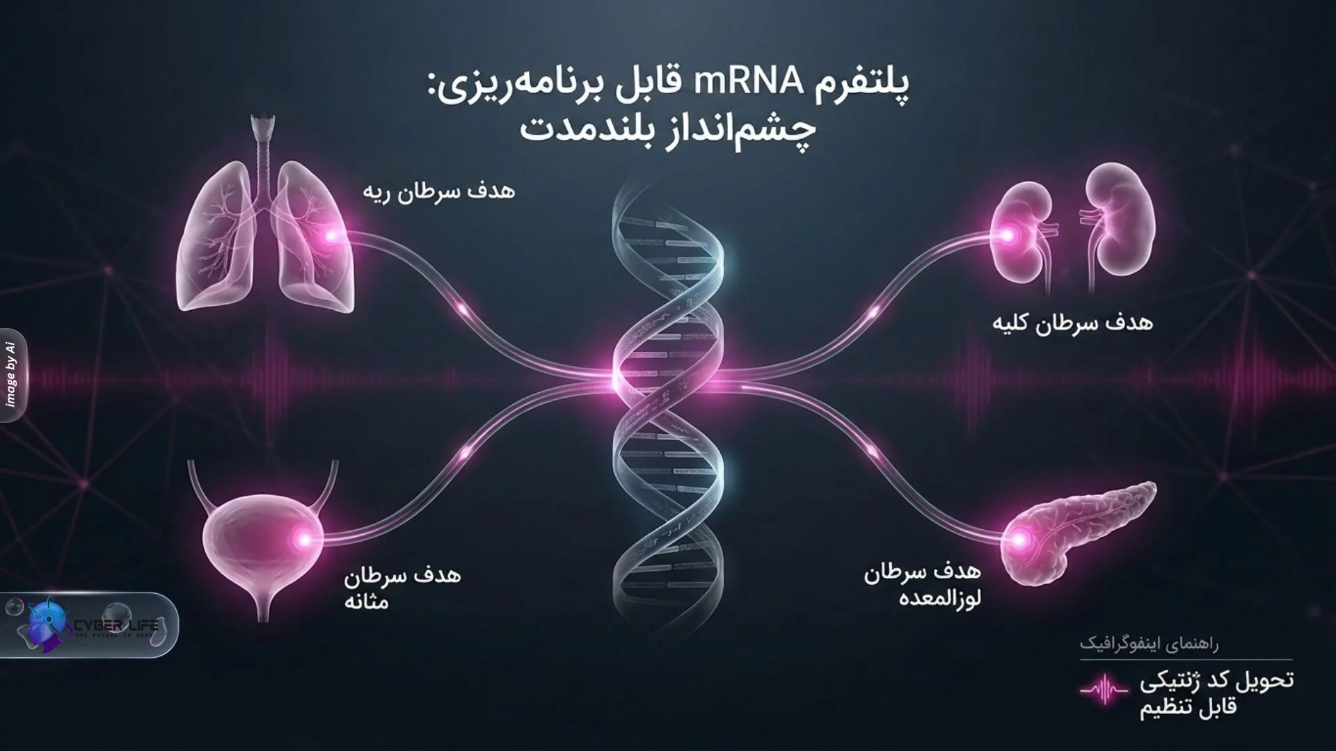 کاربرد پلتفرم برنامه‌پذیر mRNA شرکت Moderna در درمان سرطان‌های ریه، کلیه و مثانه